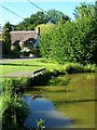 Village Pond at Braishfield