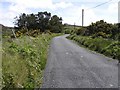 C4652 : Road at Tullymore Hill by Kenneth  Allen