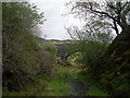 SH7436 : Bridge across the disused railway line by Peter S