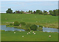 Pasture and pools at Audlem, Cheshire