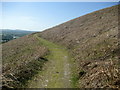 SJ1069 : Offa's Dyke Path on the flanks of Warren by Chris Heaton