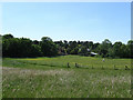 Fields behind West Street