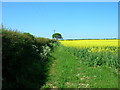 Yorkshire Wolds Way