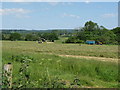 Silage collecting next to Wayside Cottages