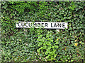 Cucumber Lane, Wildhill