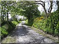 C4752 : Road near Farragan Hill by Kenneth  Allen