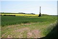 Crops in the sun