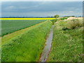 Drain on Hook Moor