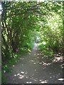 Footpath - Potternewton Lane