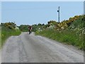 Cyclists on the Rhosgoch-Mynydd Mechell road