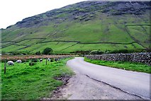 NY1808 : Sheep grazing by the road along Wasdale by N Chadwick