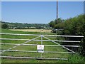 Occasional Caravan site with cows in attendance