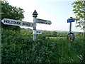 Taunton Deane : Signpost & Hedgerow