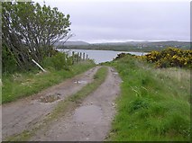 C4249 : Lane, Doagh Island by Kenneth  Allen
