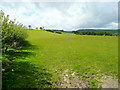 Pasture land west of Tyn-y-bryn