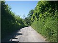 Quiete Lane Towards The River Wenallt, Login