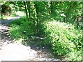 Ford at River Wenallt, Login