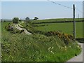 The Rhosgoch road beyond the Bryn Pabo road junction