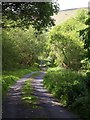 Lane to Vogwell Cottage