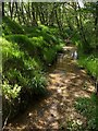 Stream near Vogwell Cottage (2)