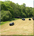 Old barn and black bag silage.