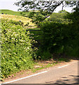 Gate with Bryn-yr-odin farm in background.