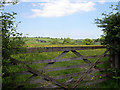 Gate to field near Haulfryn