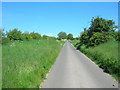 Minor Road Towards Sherburn