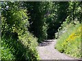 Footpath, Alvediston