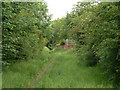 Footpath along the railway track