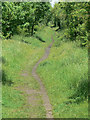 Footpath along the old railway