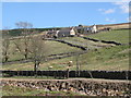 Cottages at Fell View