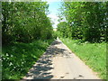 Minor Road Towards Weaverthorpe