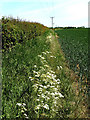 The Footpath to Hornsea