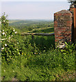 Stone Pillar and view from Rhydhir farm