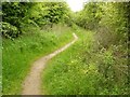 Path to Bunny from the Old Wood