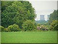 Field at Bunny towards Ratcliffe