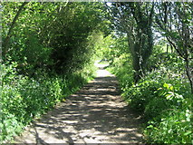 SJ0974 : Offa's Dyke Path south of Moel Maenefa by Chris Heaton
