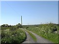 Farm road to Tyddyn Gwarch