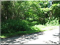 Beginning of bridleway NW through Rackham Common