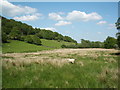 SH7752 : Ty Mawr: sheep pasture and rough grazing by Keith Salvesen