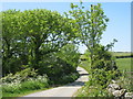 Bend in the road by Rhyd Dafydd cottage