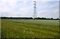 Pylon in a field off Thame Lane