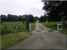 SK8383 : Gate Burton Hall North Gate Track by Glyn Drury
