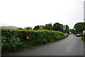 Postbox in the hedge, near Keyhow Cottages