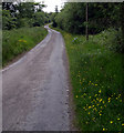 SN5536 : Minor road to Banc farm by John Duckfield