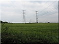 Pylons, Two By Two