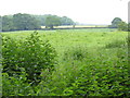 Fields Off Boothbank Lane