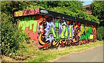 J3470 : Graffiti, Lagan towpath, Belfast (June 2009) by Albert Bridge