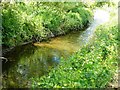 Black Brook Loughborough